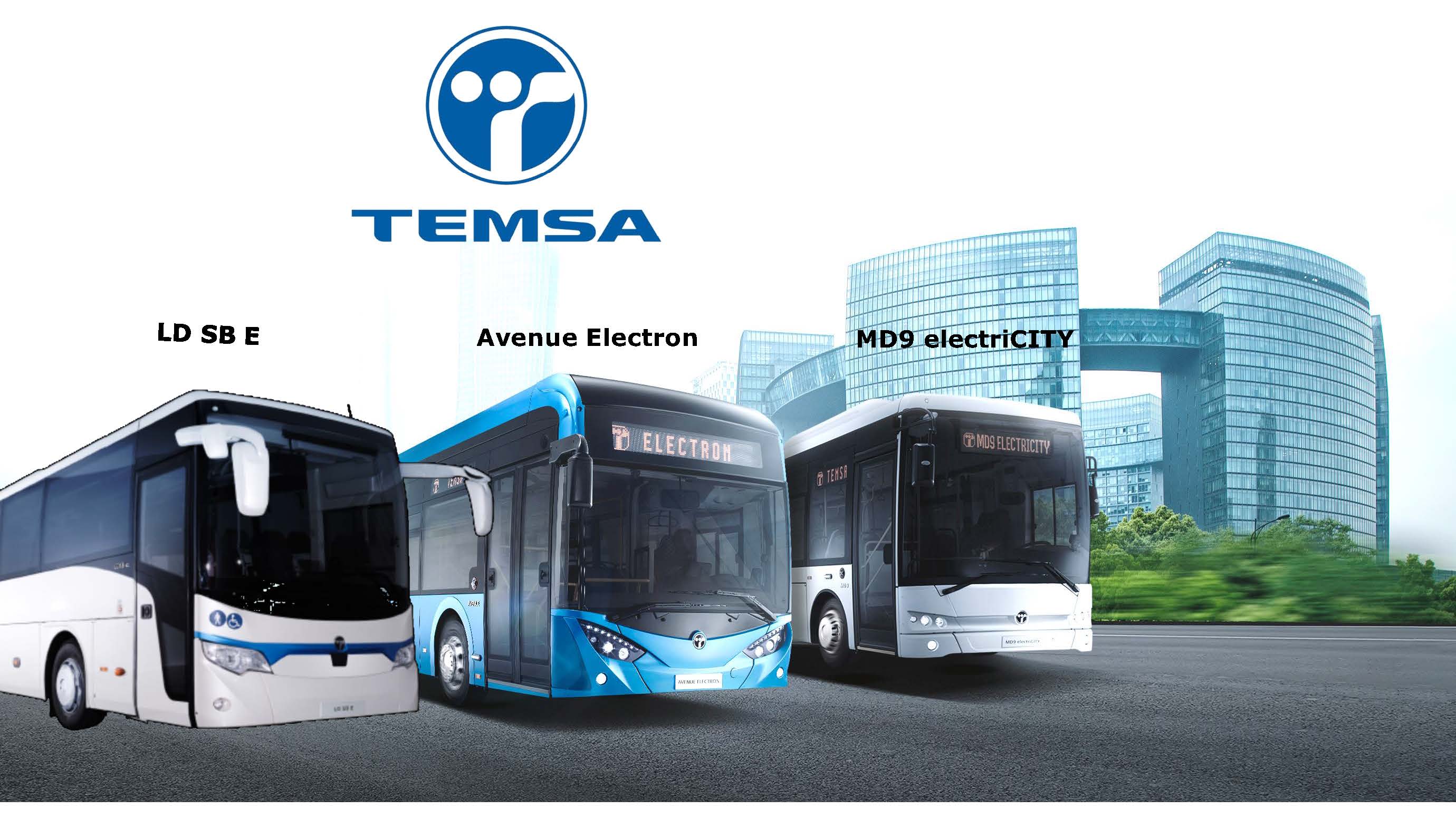 Салон temsa avenue electron